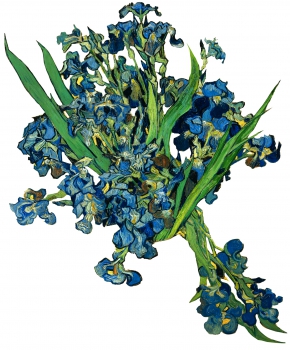 Vincent van Gogh | Iris Schwertlilien Blumen 1889 | Spreadshirt Jack Joblin Design
